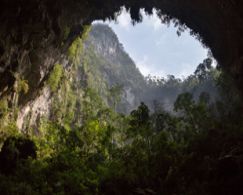 Phong Nha Ke Bang, grottes, lagunes et forêt luxuriante